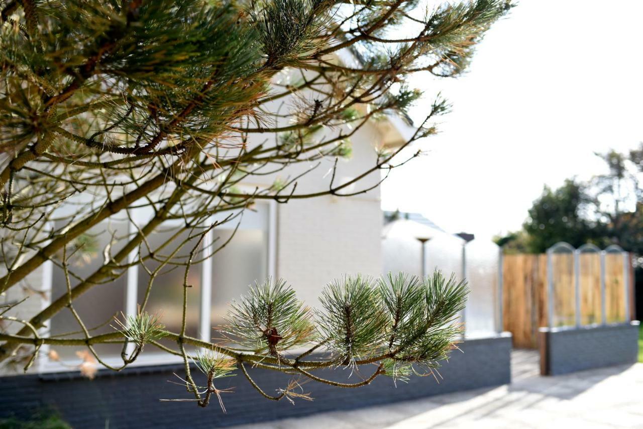 Beachhouse Bosweg Noordwijk Exteriör bild